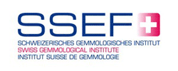 ssef
